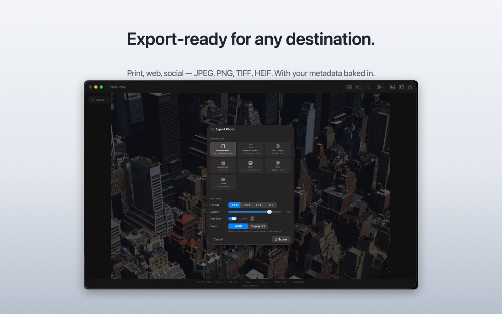 RevelRaw export dialog: platform presets for Instagram Feed, Instagram Square, Flickr/500px, Adobe Stock, Print and Web, with format (JPEG, PNG, TIFF, HEIF), quality, size and color-space settings.